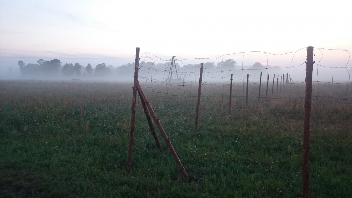 mojabudowa.pl - blog budowlany