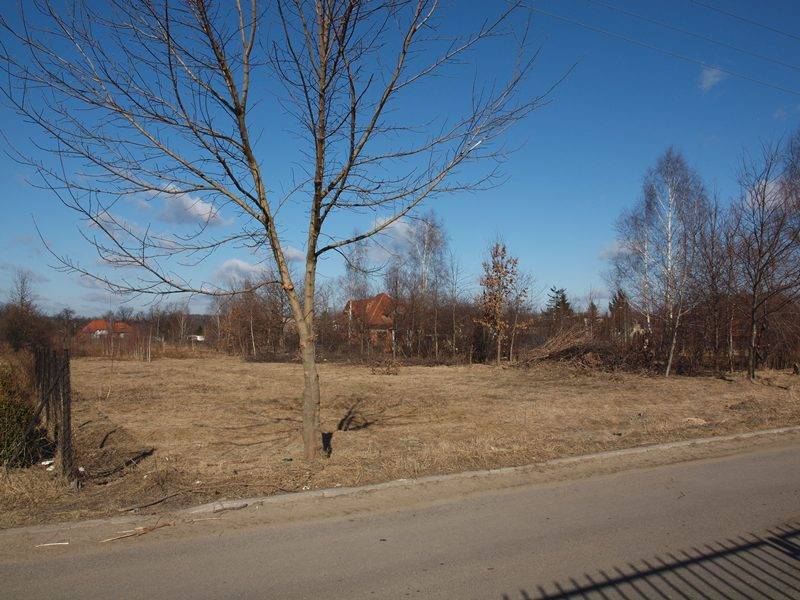 mojabudowa.pl - blog budowlany