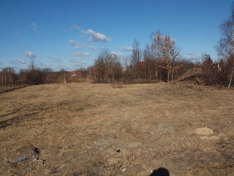 mojabudowa.pl - blog budowlany