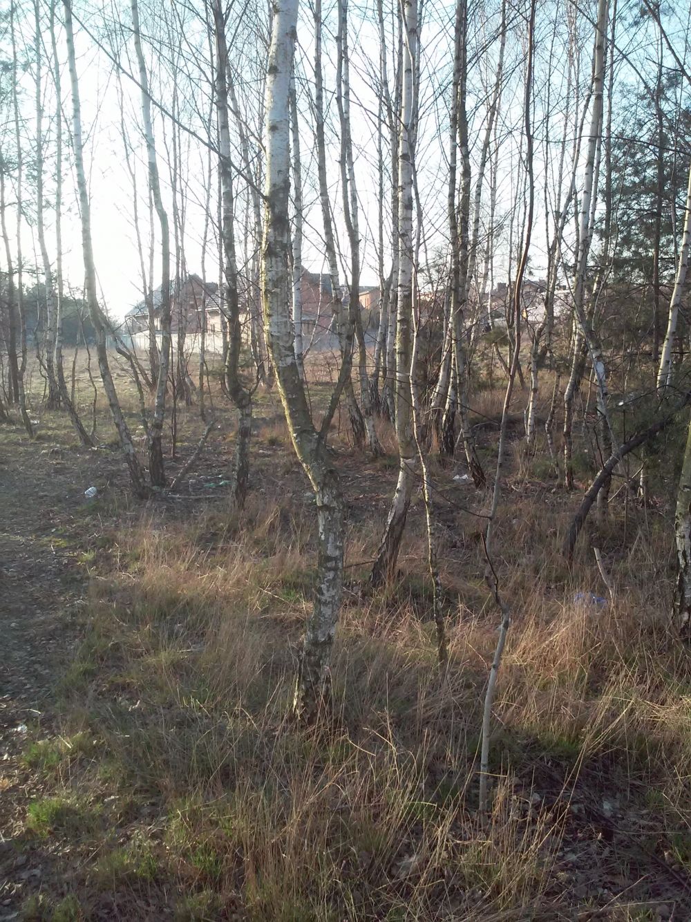 Zdjęcie do wpisu: Początek