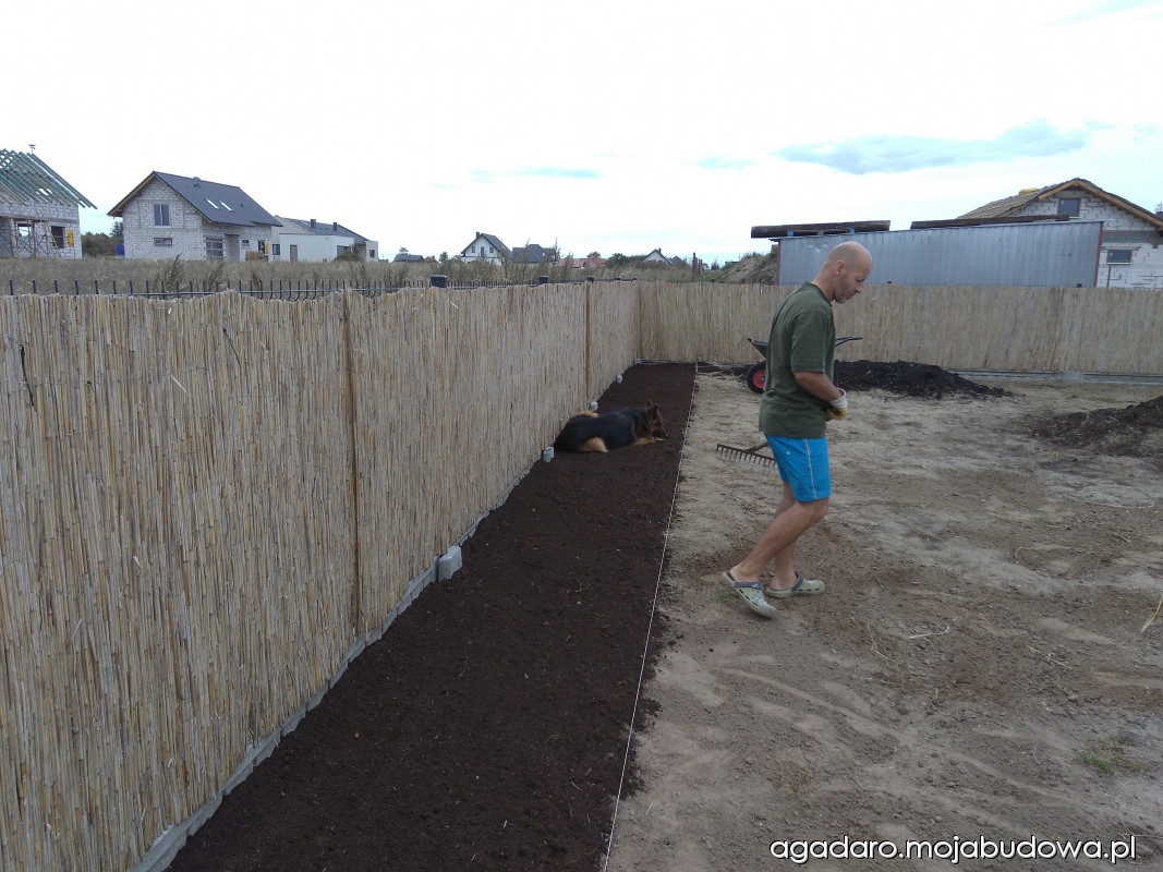 mojabudowa.pl - blog budowlany