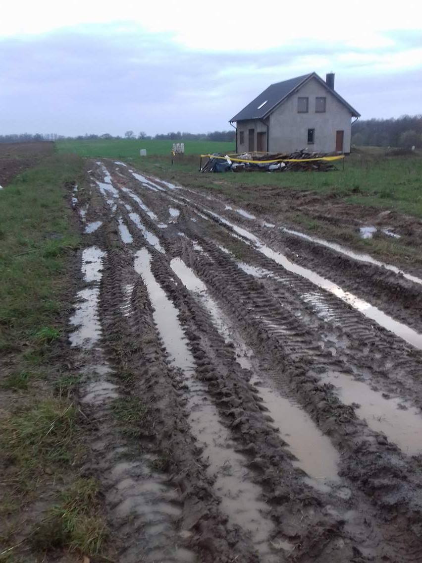 Zdjęcie do wpisu: Chudziaki c.d., zbrojenia i ławy