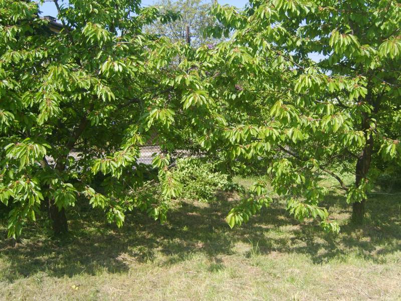 Zdjęcie do wpisu: Zmiany