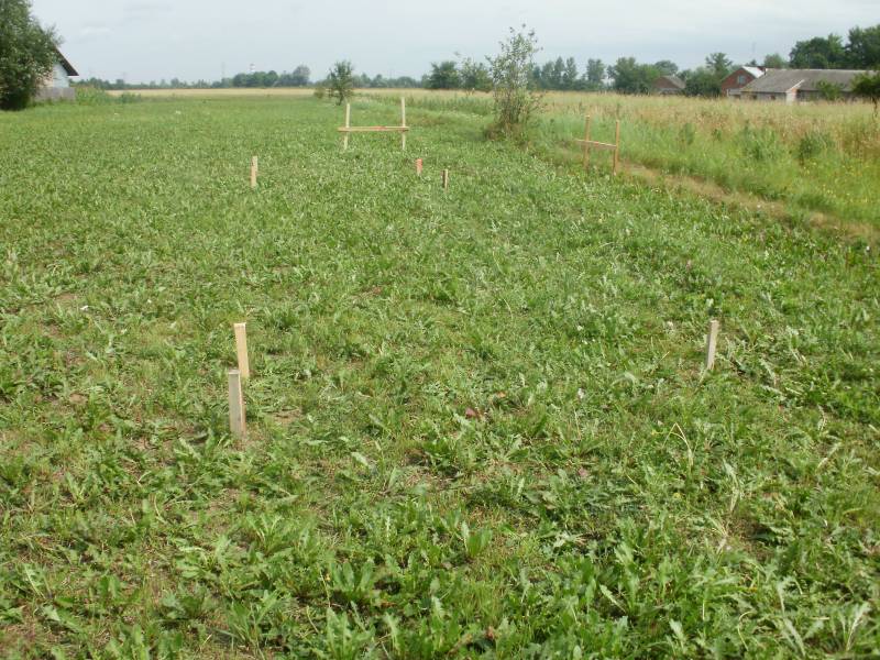 mojabudowa.pl - blog budowlany