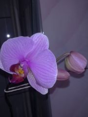 blog budowlany - avatar aneczkaipawel