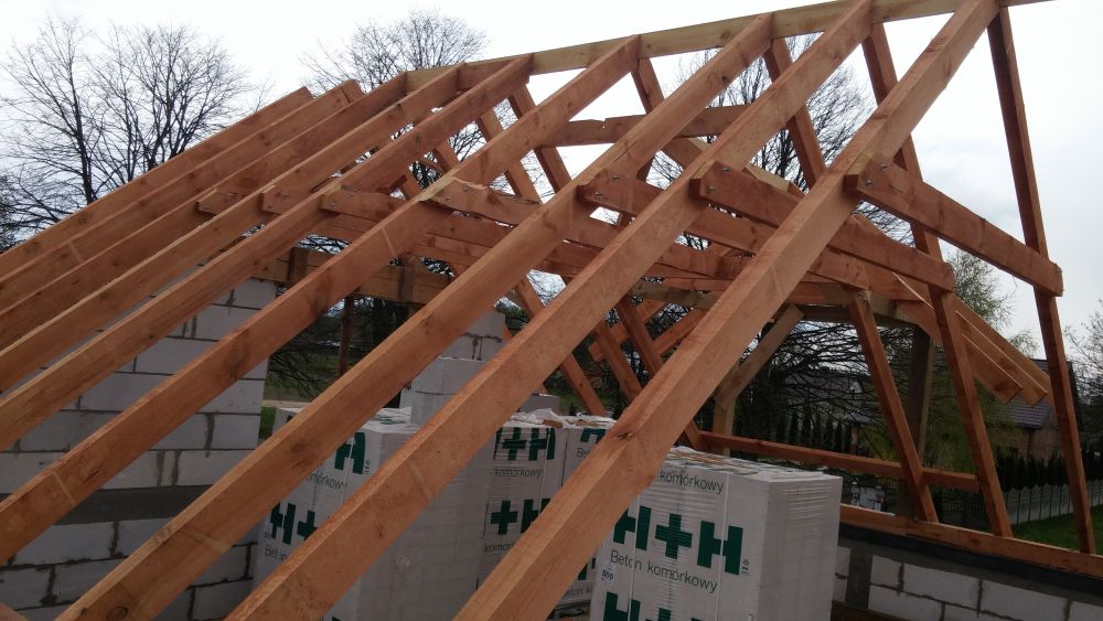 Zdjęcie do wpisu: Kryjemy :)