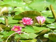 blog budowlany - avatar angela47