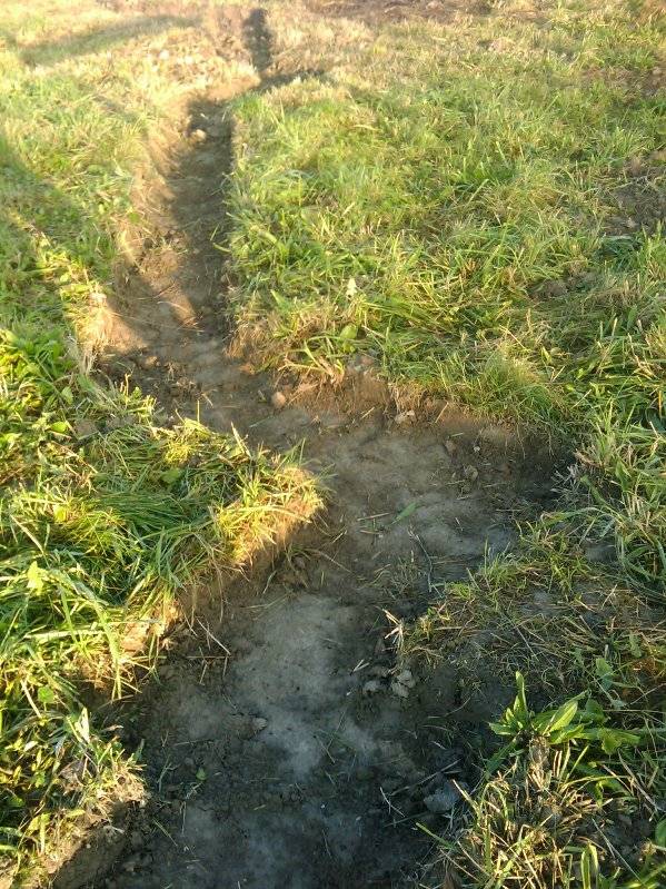 mojabudowa.pl - blog budowlany