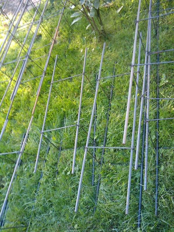 mojabudowa.pl - blog budowlany