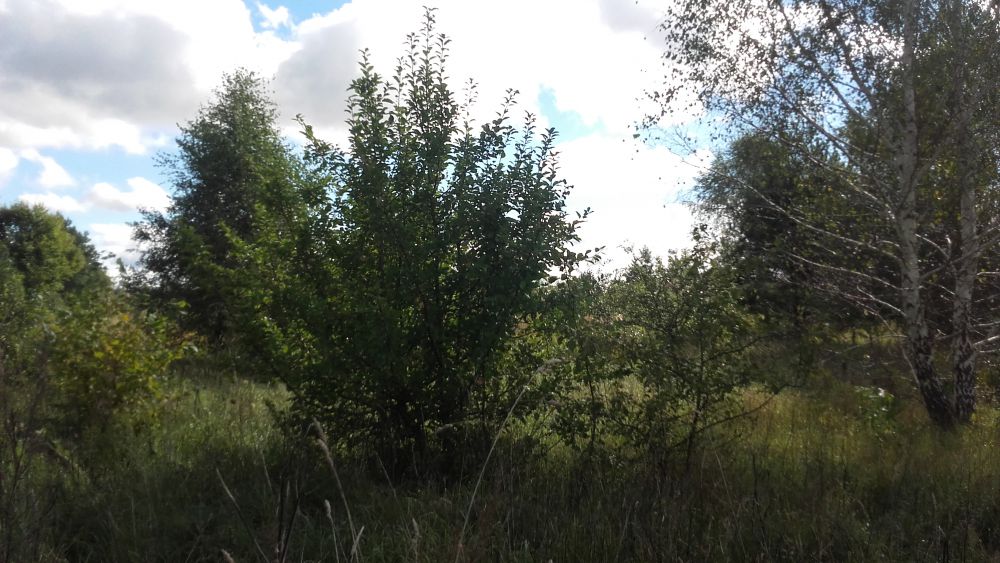 Zdjęcie do wpisu: Dom w Idaredach (T)