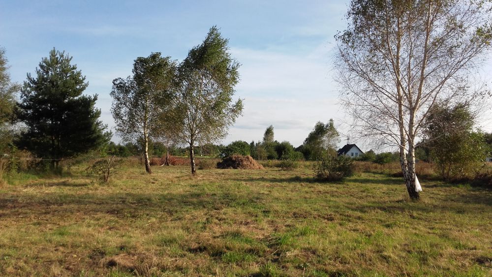 Zdjęcie do wpisu: Dom w Idaredach (T)