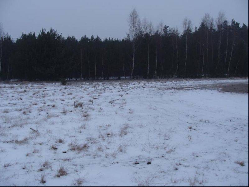 mojabudowa.pl - blog budowlany