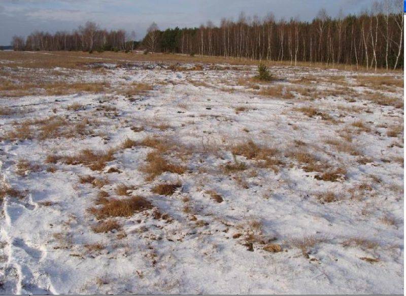 mojabudowa.pl - blog budowlany