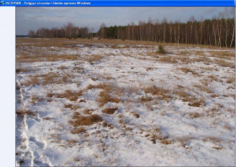 mojabudowa.pl - blog budowlany