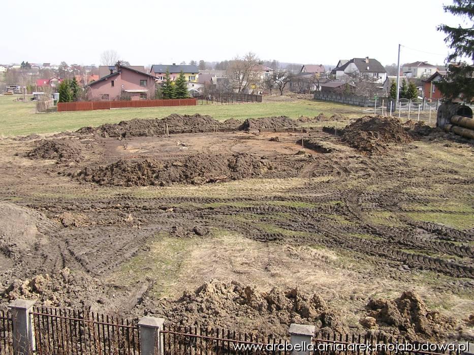 Zdjęcie do wpisu: Tu na razie jest ściernisko, Ale będzie....