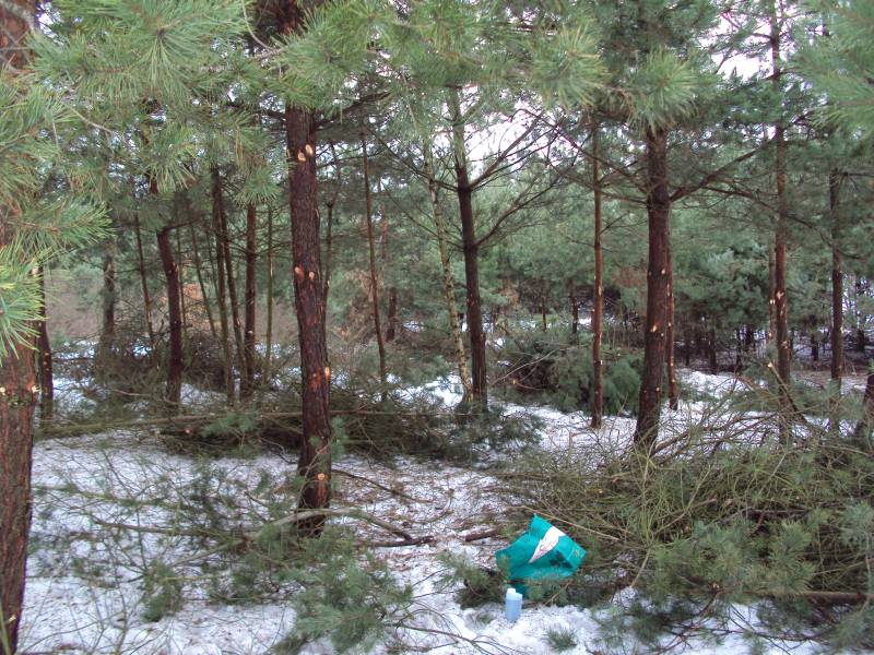 Zdjęcie do wpisu: początki