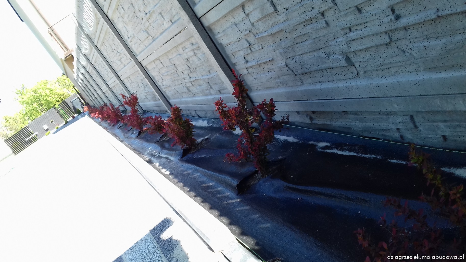 mojabudowa.pl - blog budowlany