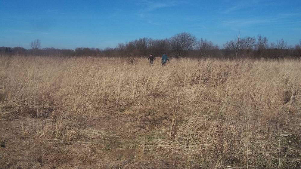 Zdjęcie do wpisu: Pozwolenie