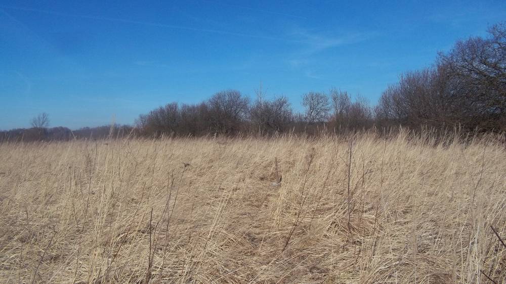 Zdjęcie do wpisu: Pozwolenie