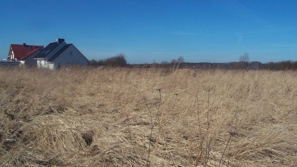 Zdjęcie do wpisu: Pozwolenie