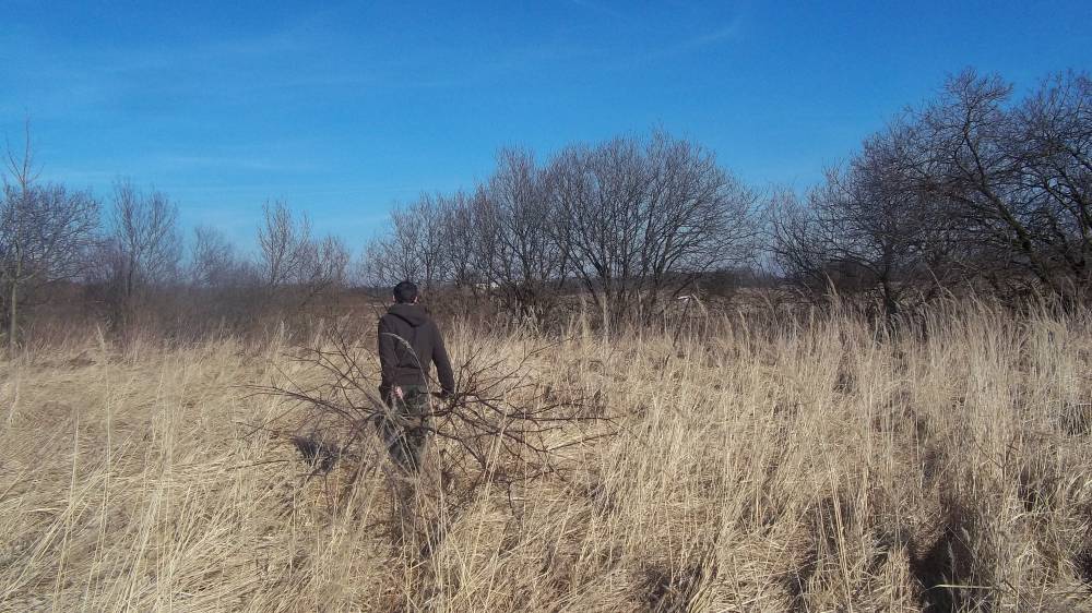 Zdjęcie do wpisu: Pozwolenie