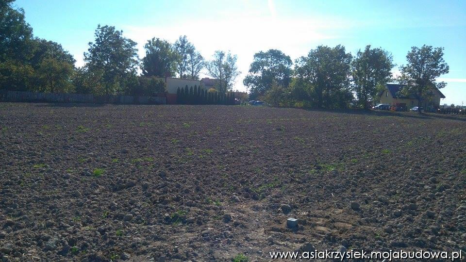 Zdjęcie do wpisu: Papierologia