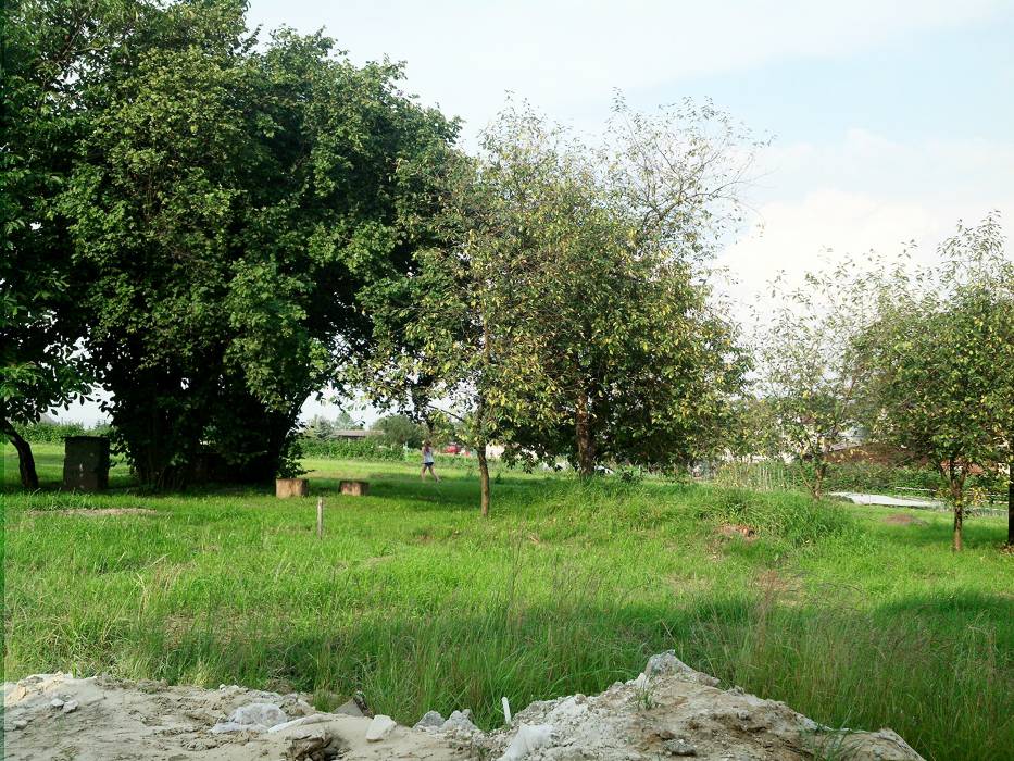 blog budowlany - mojabudowa.pl