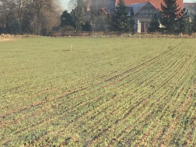 Zdjęcie do wpisu: dom w jabłonkach g2