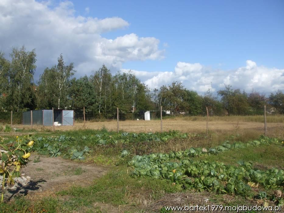 Zdjęcie do wpisu: POCZĄTKI