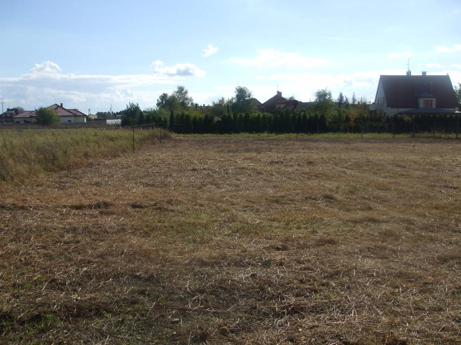 Zdjęcie do wpisu: WITAMY