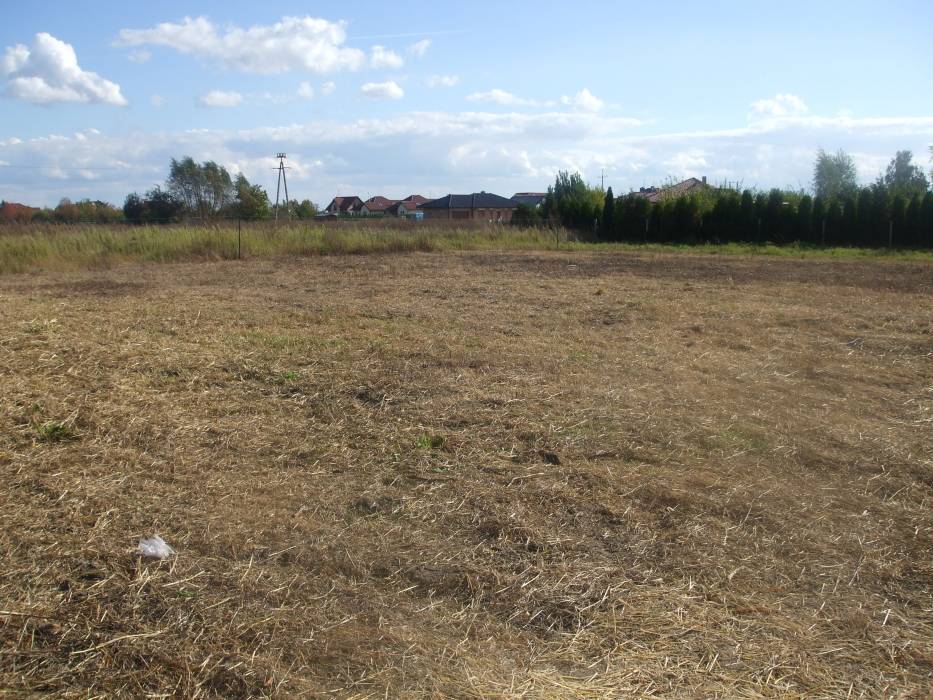 Zdjęcie do wpisu: WITAMY