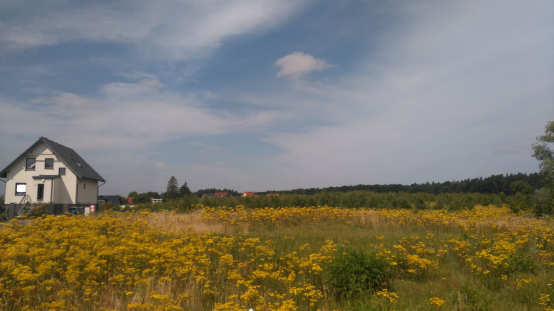 Zdjęcie do wpisu: E-157L