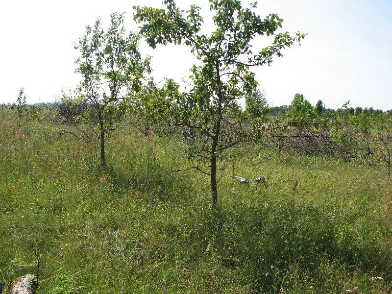 Zdjęcie do wpisu: Działka