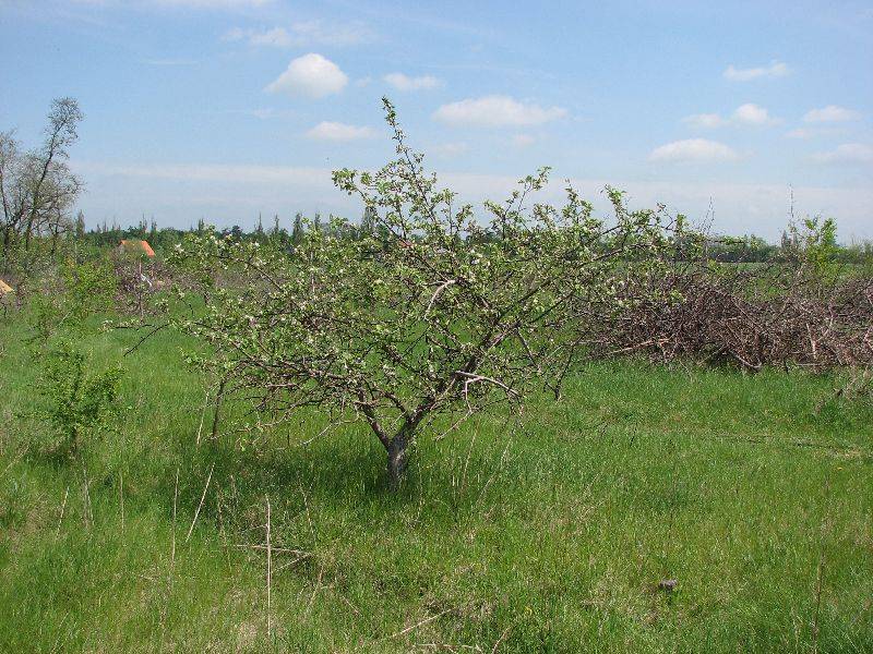 Zdjęcie do wpisu: Działka