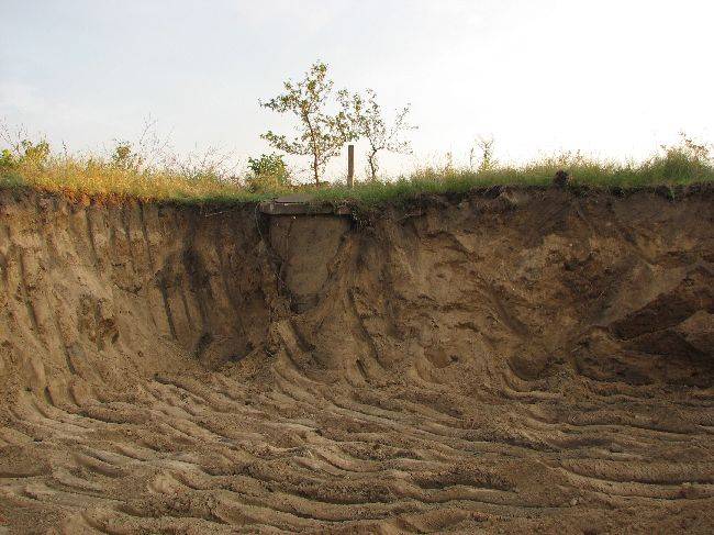 Zdjęcie do wpisu: No to zaczynamy