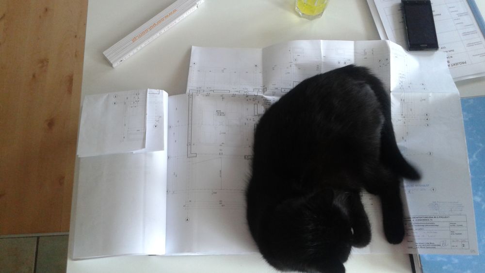 blog budowlany - mojabudowa.pl