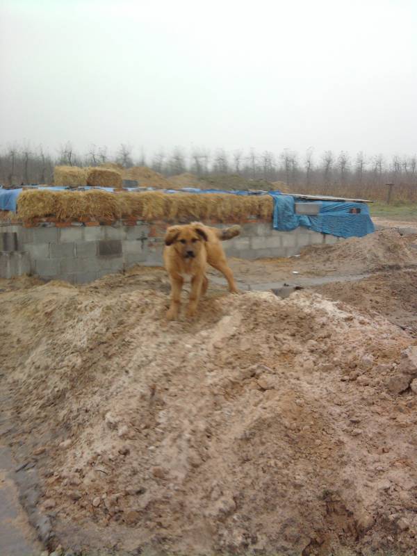 Zdjęcie do wpisu: ciąg dalszy piwnicy...