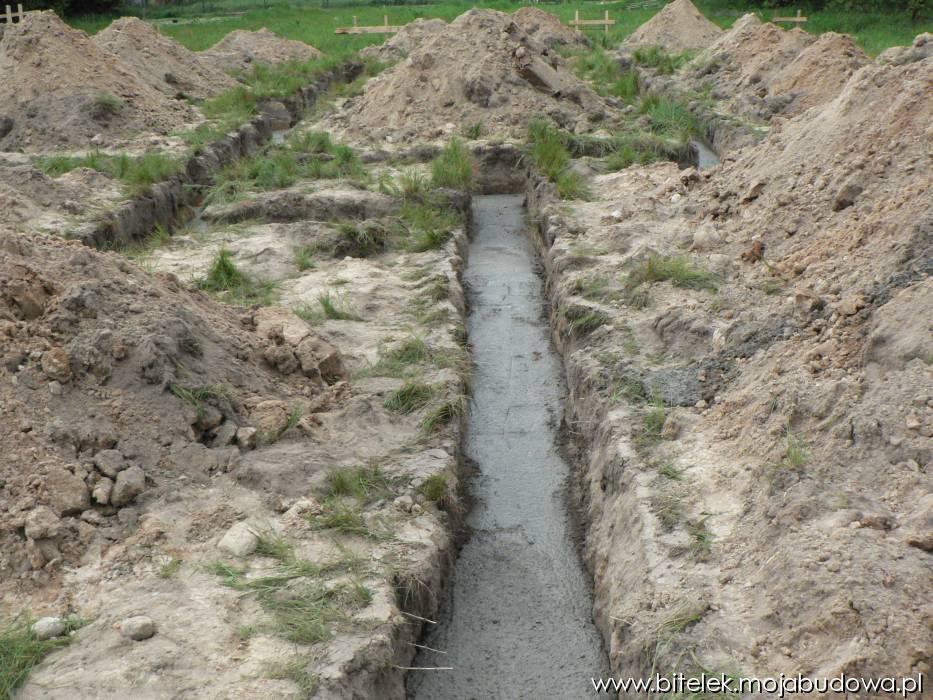 Zdjęcie do wpisu: no i dziłamy