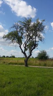 blog budowlany - avatar bryza_nasz_nowy_dom