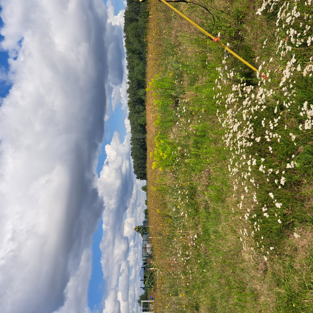 mojabudowa.pl - blog budowlany