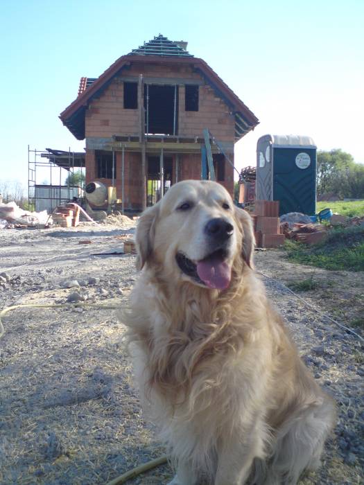 blog budowlany - mojabudowa.pl