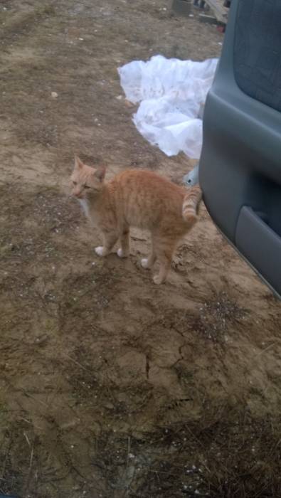 blog budowlany - mojabudowa.pl