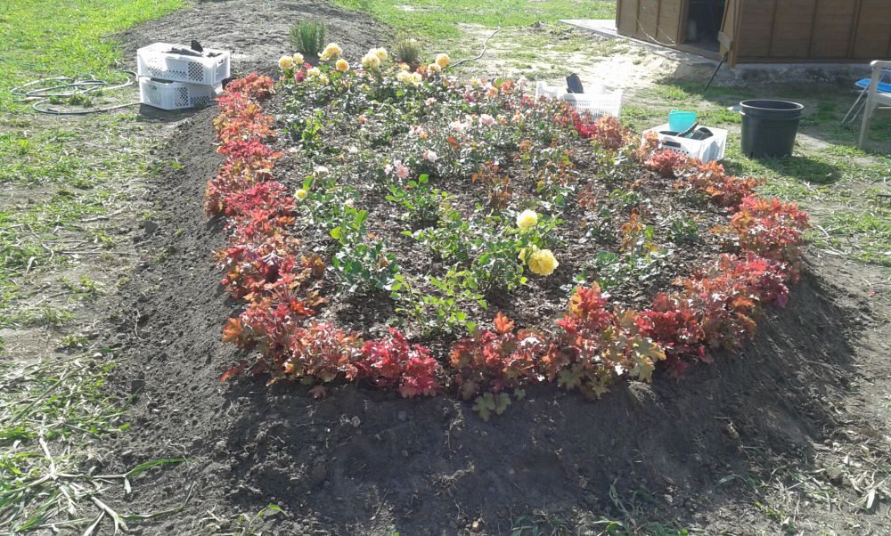 blog budowlany - mojabudowa.pl