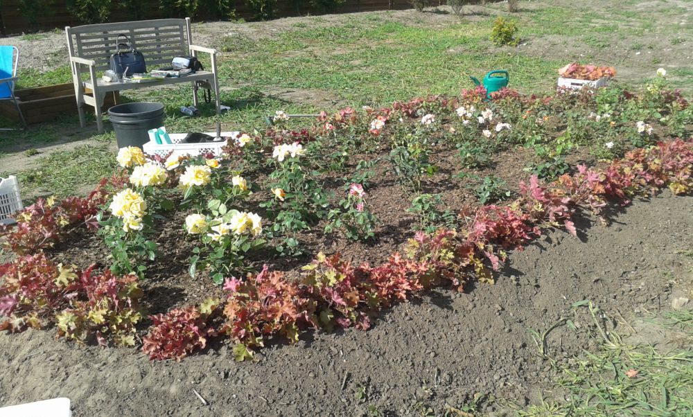 blog budowlany - mojabudowa.pl