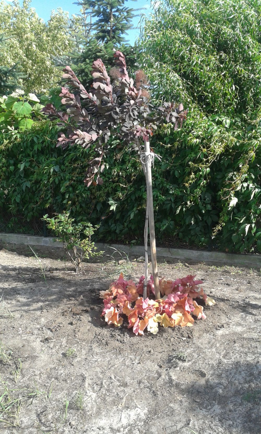 blog budowlany - mojabudowa.pl