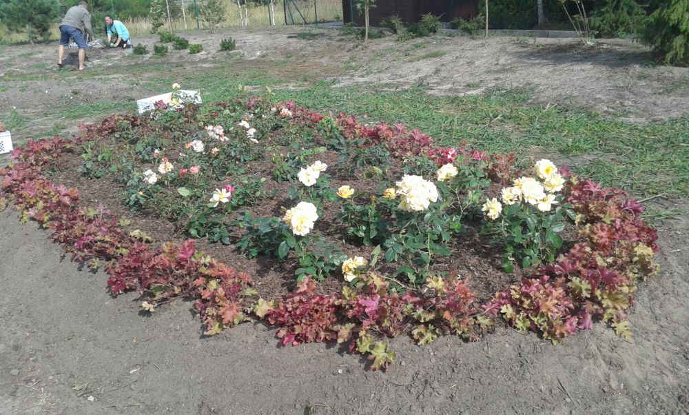 blog budowlany - mojabudowa.pl