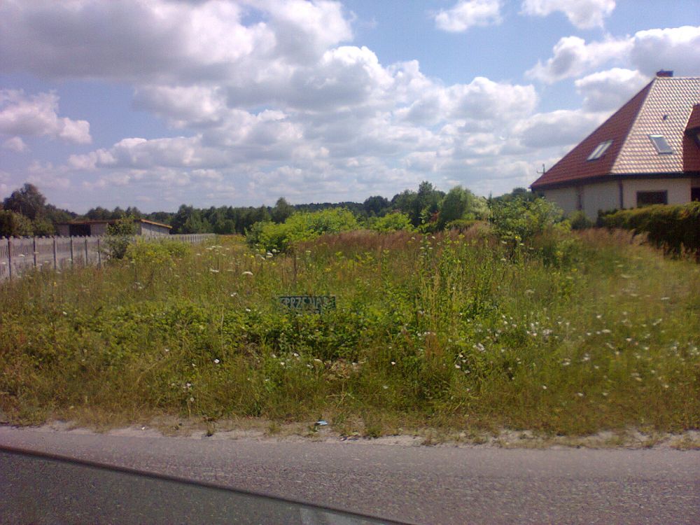 blog budowlany - mojabudowa.pl