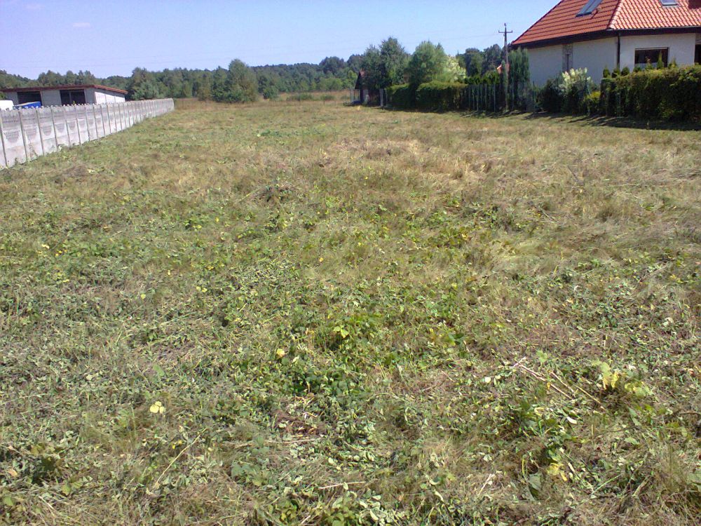 blog budowlany - mojabudowa.pl