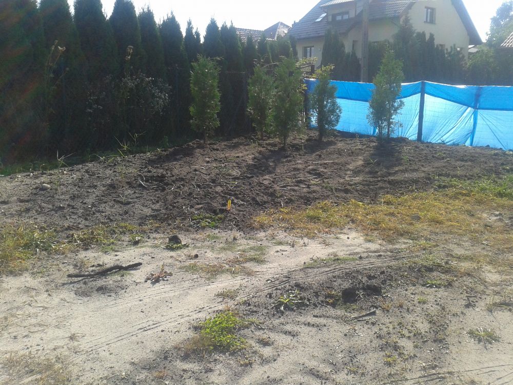 blog budowlany - mojabudowa.pl