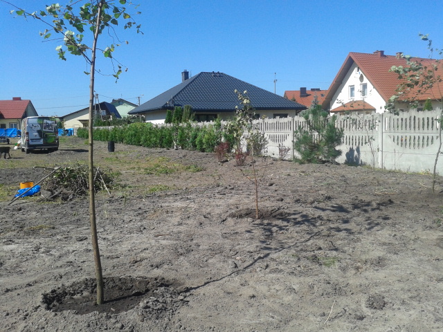 blog budowlany - mojabudowa.pl